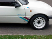 Rallye Front Arche/Door Stripes