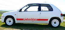 Peugeot 106 Rallye Decals