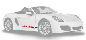 Porsche Boxster 981 Decals